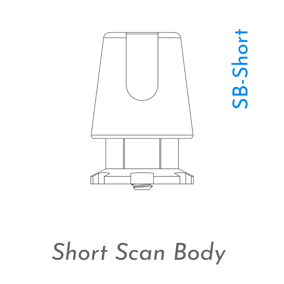 Short Scan Bodies