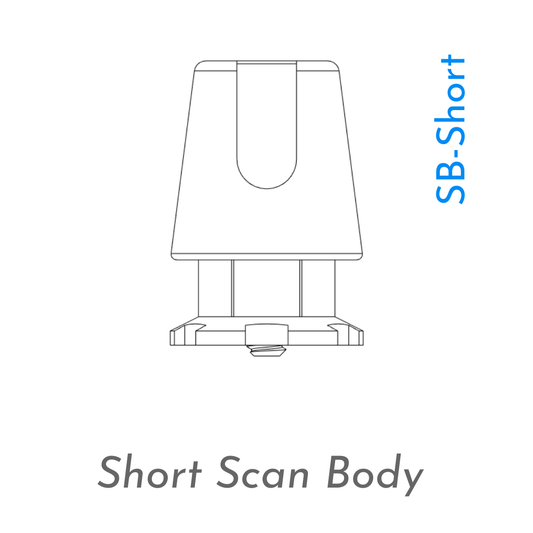 Short Scan Bodies